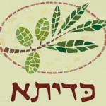 מסעדת כדיתא